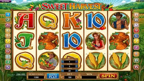 sweet harvest slot